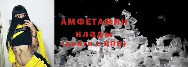 ПСИЛОЦИБИНОВЫЕ ГРИБЫ Заводоуковск