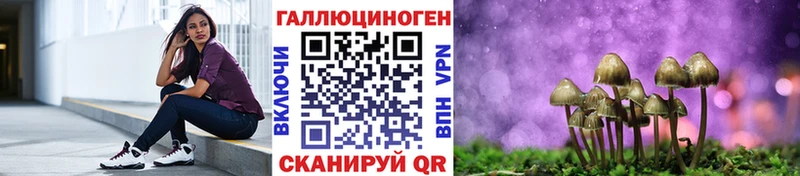 Псилоцибиновые грибы мухоморы  darknet какой сайт  Кувшиново 