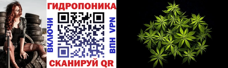 МАРИХУАНА семена Кувшиново